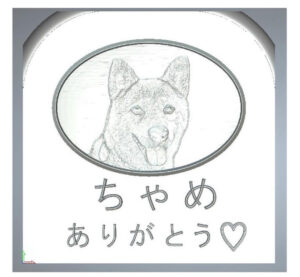 Sobairu　柴犬　完成イメージ画像