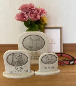 Sobairu　大きさ比較