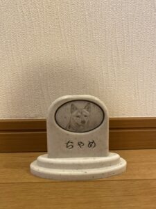 Sobairu　柴犬