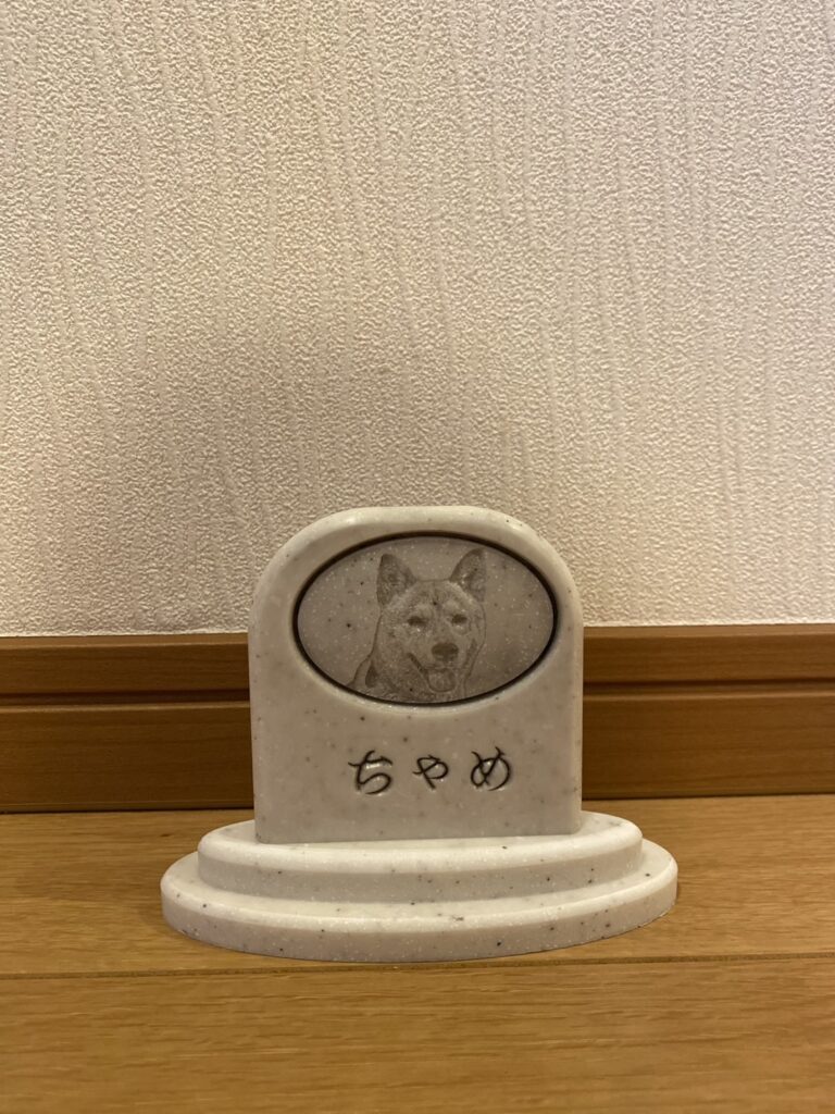 Sobairu 柴犬
