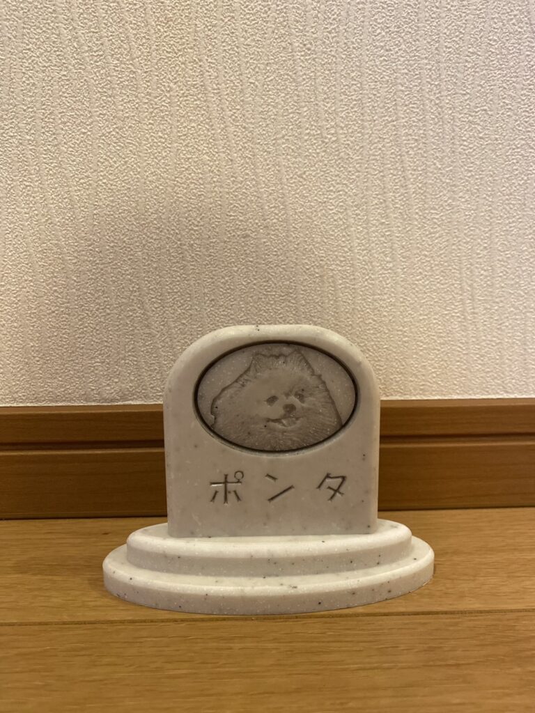 Sobairu ポメラニアン