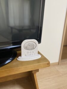 Sobairu　イングリッシュセッターさくらちゃん