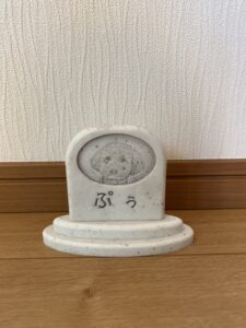 Sobairu　トイプードル