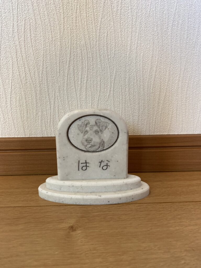 Sobairu シュナウザー