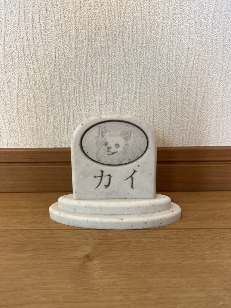 Sobairu チワワ