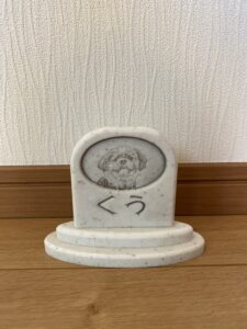 Sobairuシーズー