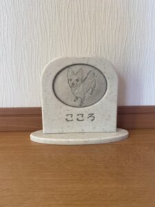 Sobairu チワワとヨーキのミックスこころちゃん